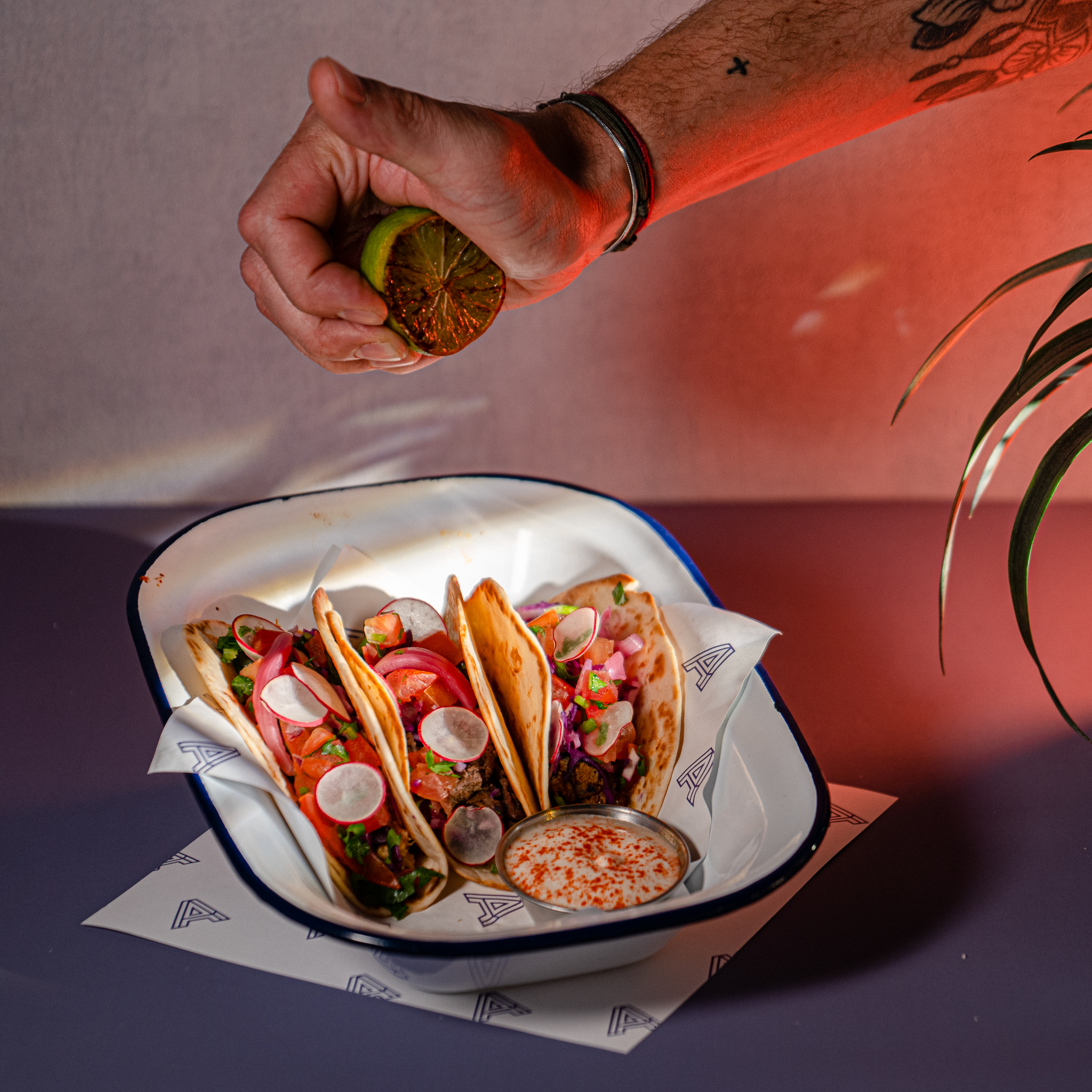 ANCHO Fresh Mexican Kitchen
